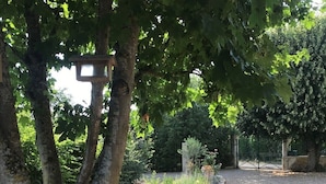 A garden with trees, gravel paths, and a metal gate. - GITE DE CHARME 3 Etoiles, Label Clef Verte, Wifi Fibre, Futuroscope 86800 LAVOUX (Lavoux)