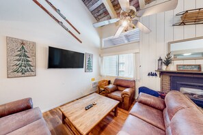 Televisión, chimenea y libros 