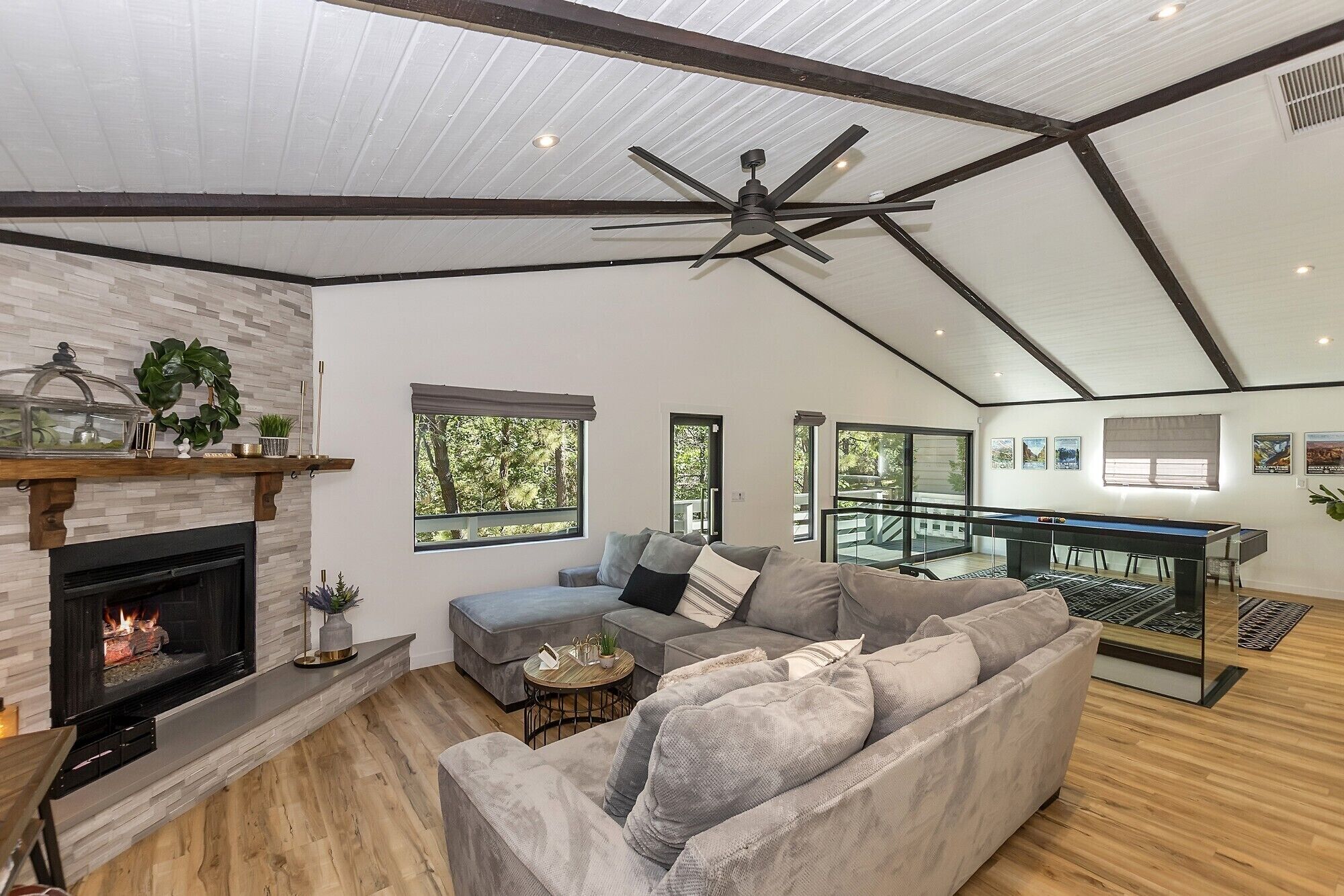 Tv, pejs, dvd-afspiller