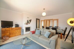 Smart TV, fireplace, DVD player, video library