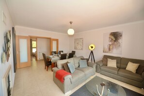 Smart TV, fireplace, DVD player, video library
