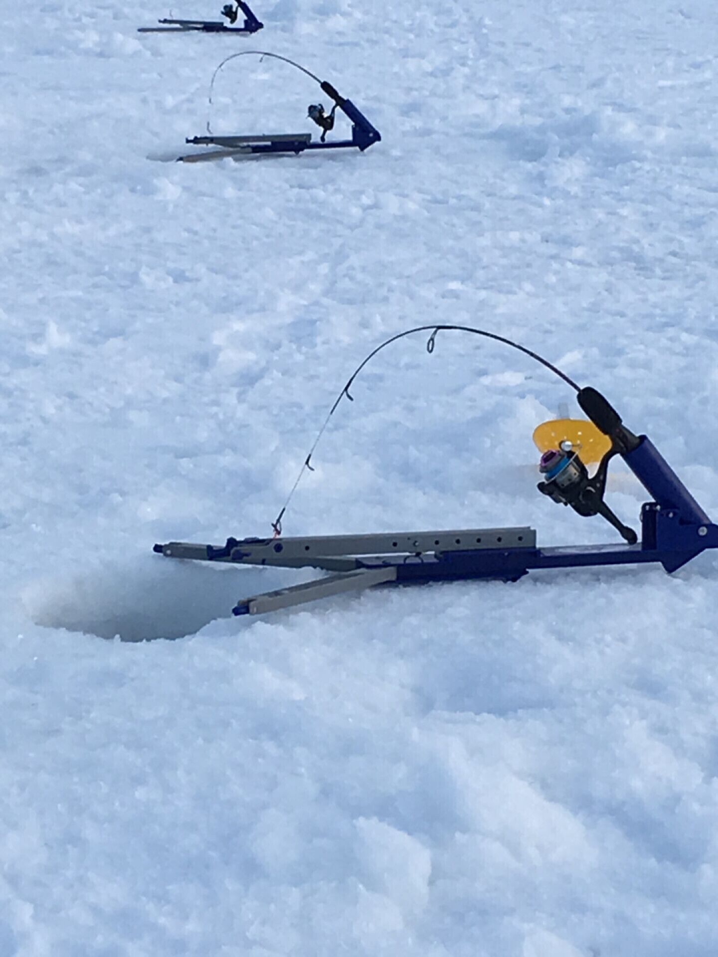 The Spectacular Rocky View Waterfront Cottage on South Shore of Lake