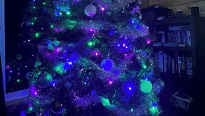En julgran med mångfärgade lampor och julgransprydnader, placerad framför en vägg av trä med ett fönster och bokhyllor.