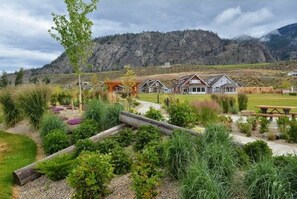 Property grounds - Summer Short & Winter Long term rental at Canada's Warmest Lake Osoyoos (Oliver)