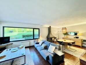 Televisión, chimenea, videojuegos y reproductor de DVD 