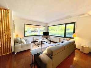 Televisión, chimenea, videojuegos y reproductor de DVD 