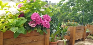 Jardines del alojamiento