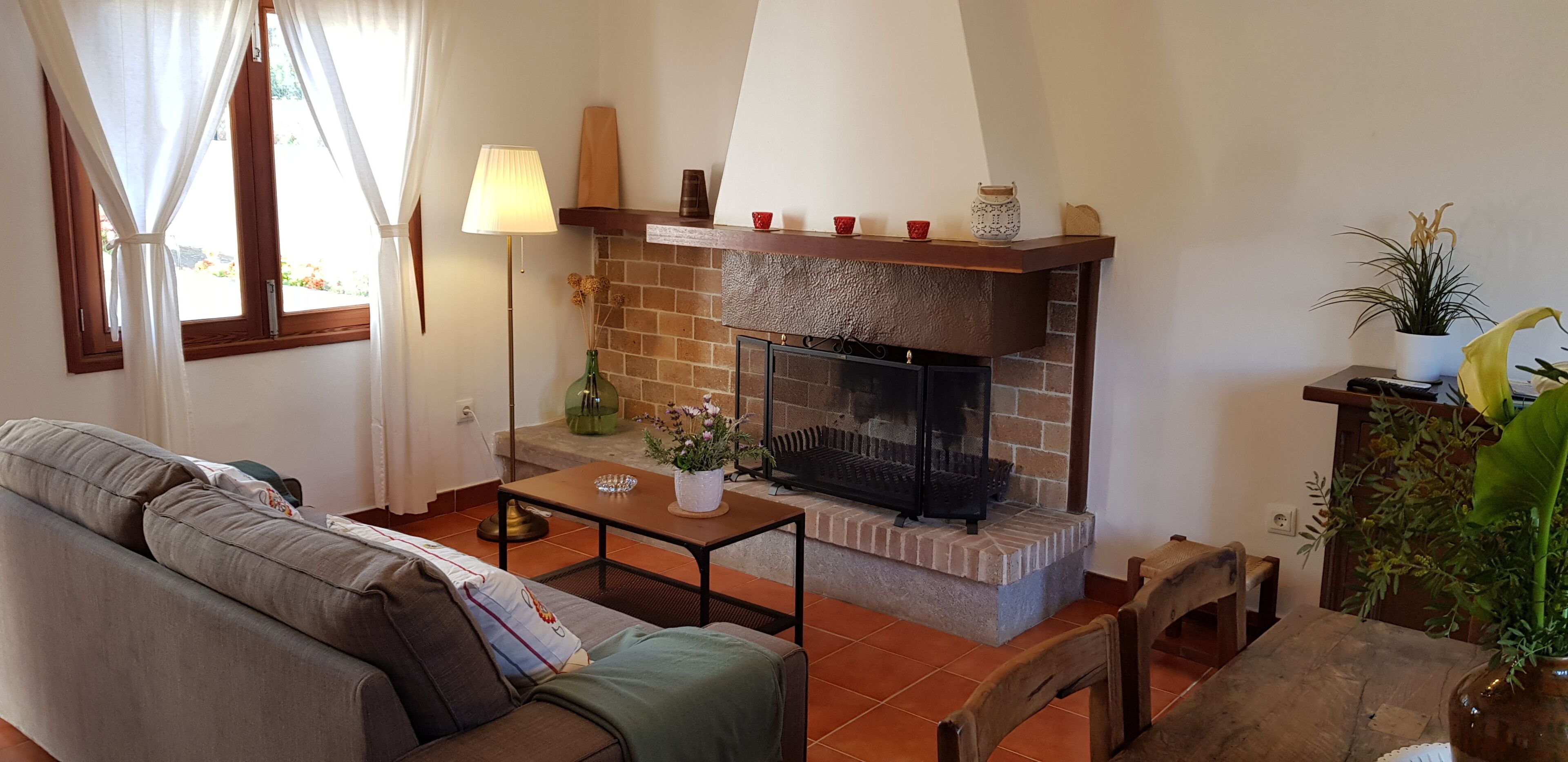 Télévision, cheminée, livres