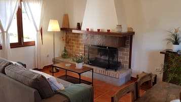 Télévision, cheminée, livres