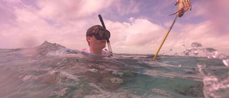 Iemand snorkelt in de oceaan, met een snorkel en masker.