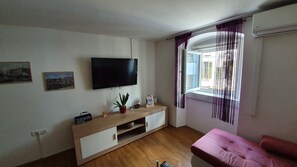 Flat-screen TV