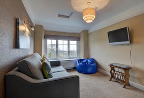 تلفزيون، مدفأة