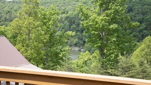 Une vue depuis un balcon donnant sur une forêt dense et un lac.