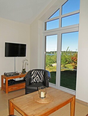 TV, DVD player, books