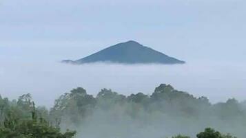 A mountain shrouded in mist with a forested foreground.