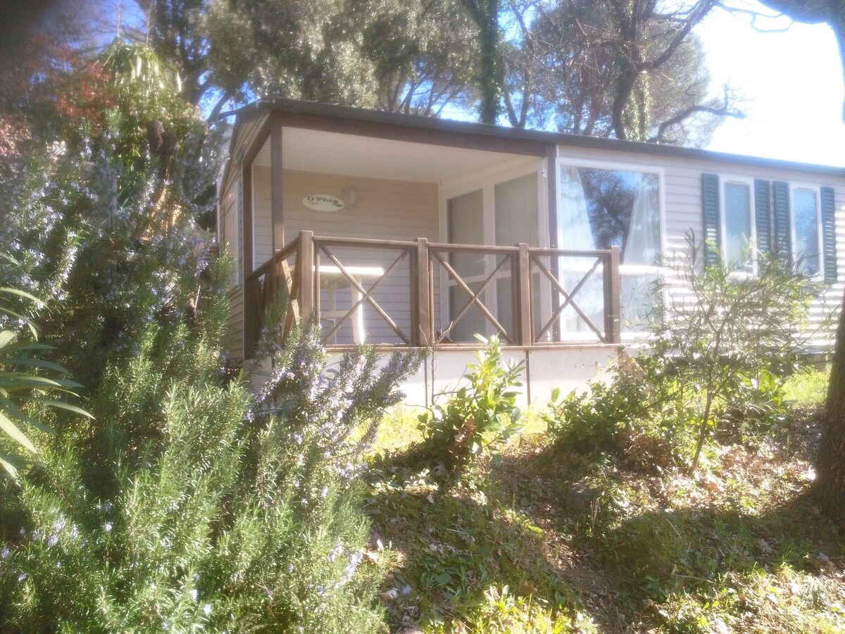 Image de profil de lâhĂŽte