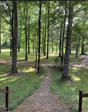 Property grounds - Peaceful country getaway just outside Oxford, MS (Oxford)