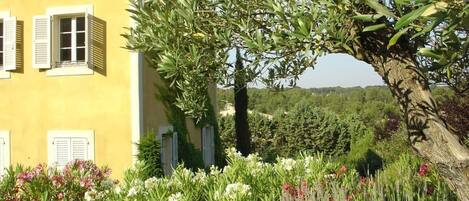 Overnatningsstedets område