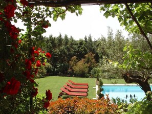 Outdoor pool - Comfort double beige room (Cabriès)