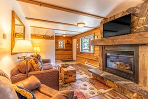 TV, fireplace, books