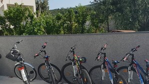 Une rangée de vélos est garée contre un mur, et l’ombre d’une roue de vélo se projette sur le sol.