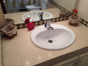Shower, hair dryer, bidet, towels