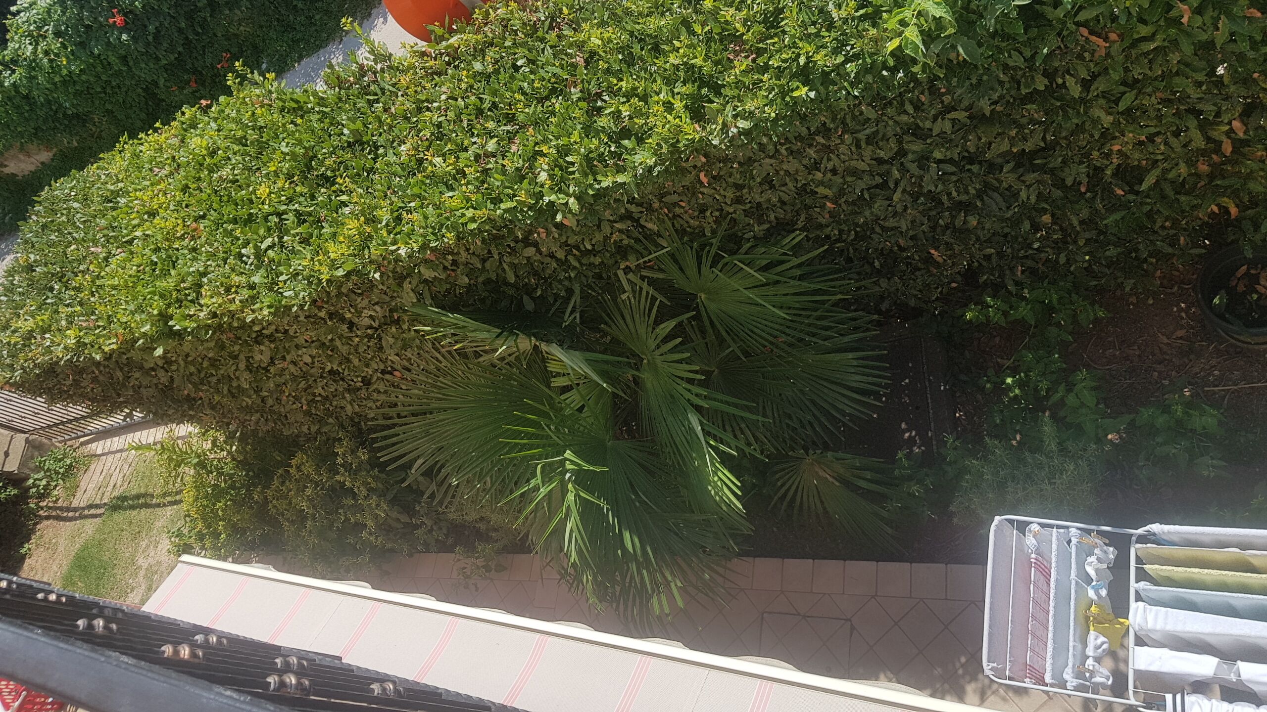 Parco della struttura