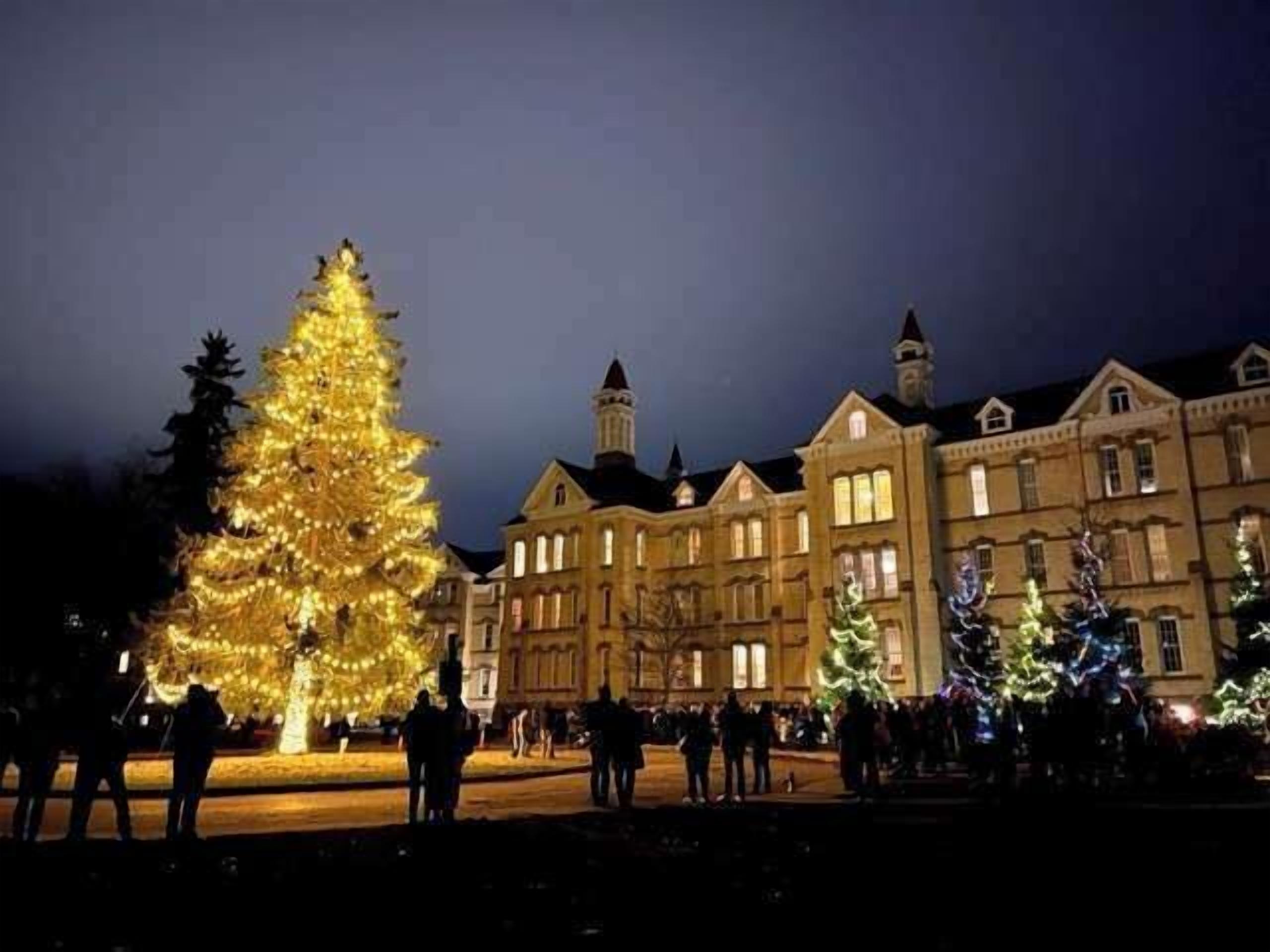 Un gran árbol de Navidad iluminado frente a un edificio histórico con múltiples ventanas y una torre central.