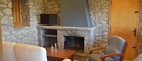 TV, fireplace, ping pong