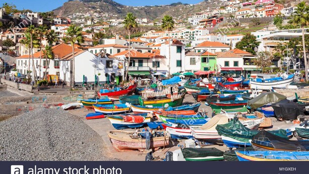 Un villaggio costiero con barche colorate ormeggiate lungo la riva, circondato da case a terrazze e palme.