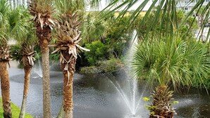 Un jardín tranquilo con palmeras y una fuente.