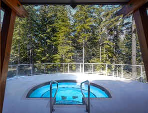 Pool - True Ski-In/Out | Modern 3BR | Mountain Views | Communal Hot Tub | Managed by Aloha Whistler (Whistler)