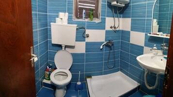 Hair dryer, towels, shampoo, toilet paper