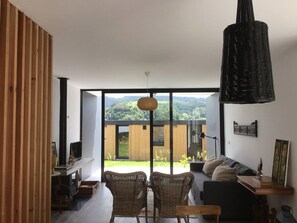 TV connectée, cheminée
