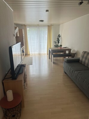 Fernseher