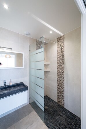 Shower, hair dryer, towels, toilet paper