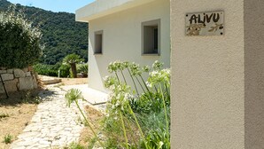 A modern building with a sign reading "ALIVU" and a stone pathway leading to it.