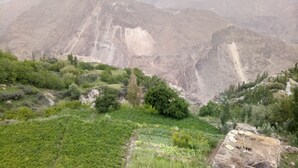 A mountainous landscape with green vegetation and rocky terrain. - Hunza holiday Inn (Karimabad)