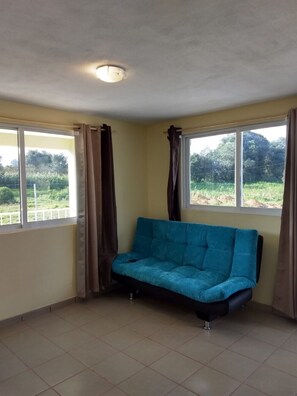 TV - Comodo y centrico departamento (Julio) (Zacatlán)