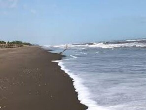 Strand