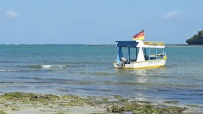 Tæt på stranden, hvidt sand, gratis strandtransport, windsurfing
