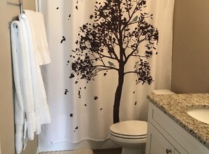 Ensemble douche/baignoire, sèche-cheveux, serviettes fournies, savon