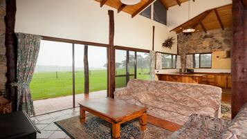 TV connectée, cheminée