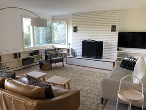 Smart TV, fireplace, books