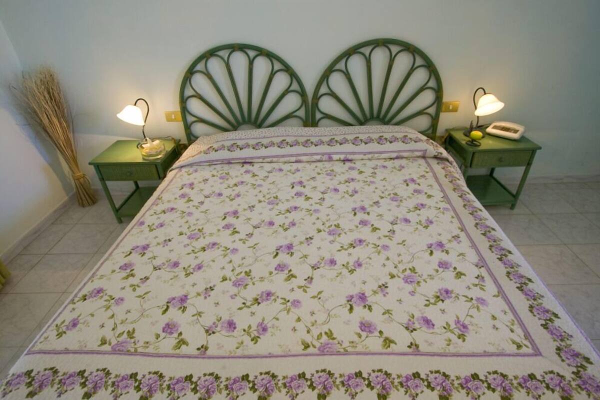 Basic Double or Twin Room