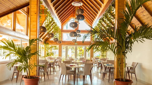 A spacious indoor dining area with wooden beams, large windows, and potted plants.