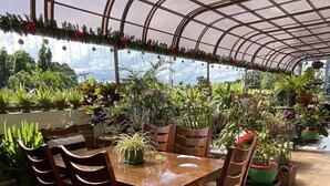 Een kas met een tafel en stoelen, omringd door diverse potplanten.