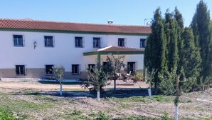 A building with a tiled roof, multiple windows, and a covered outdoor area with potted plants. - Alojamiento Rural El Oregano (Campillos)