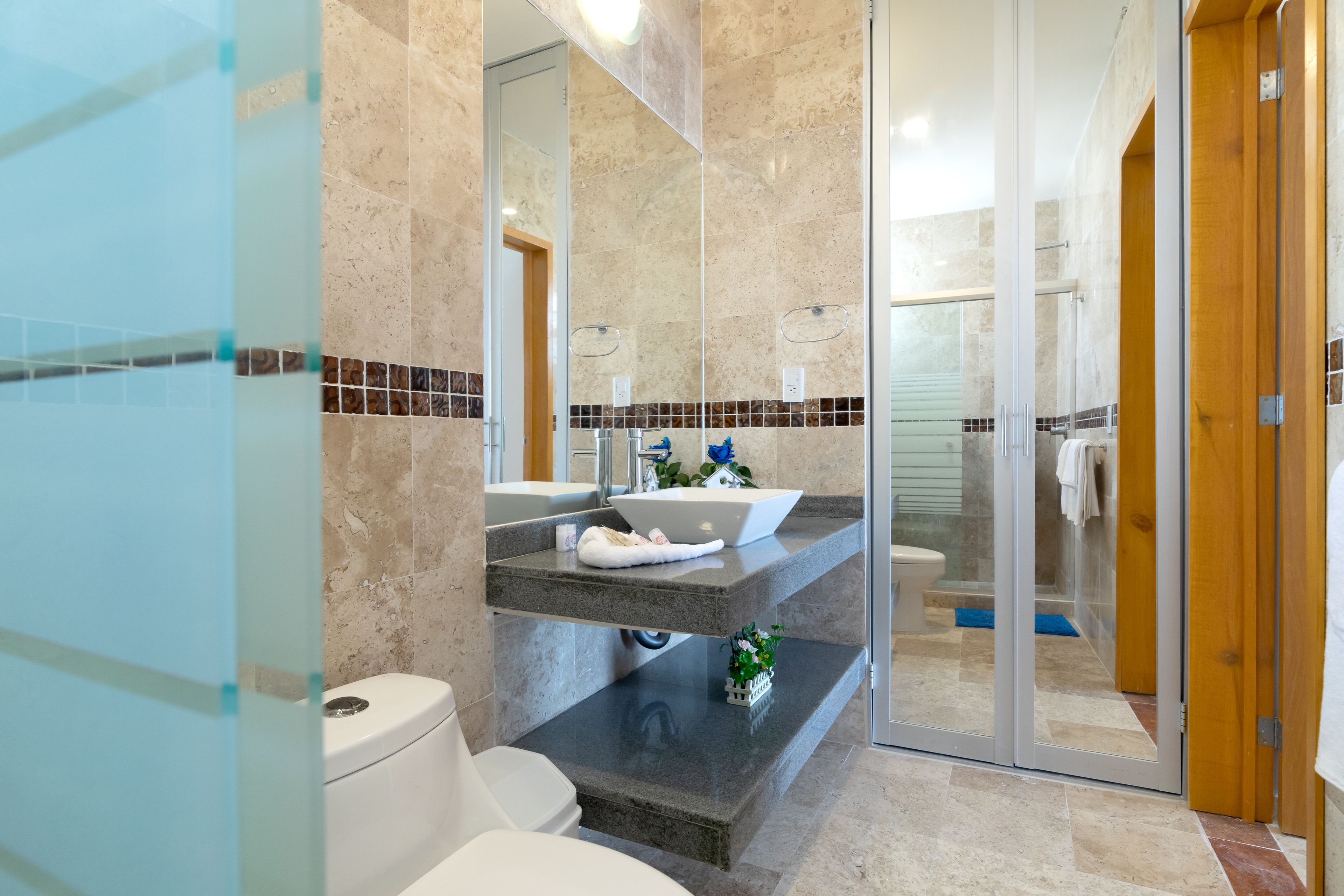 Suite estudio Deluxe, 1 cama King size y sofá cama | Baño | Regadera, regadera tipo lluvia, amenidades de baño gratuitas 