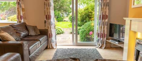 Télévision, lecteur de DVD, livres, chaîne hi-fi